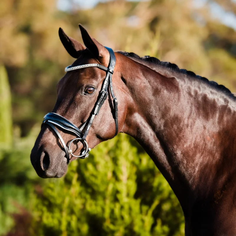 - Pet vitamin complex nutrition tabletsLumiere Adeline Hanovarian Bridle