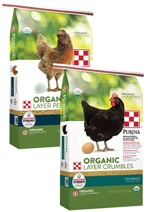 - Remote interactive pet feederOrganic Layer Crumble